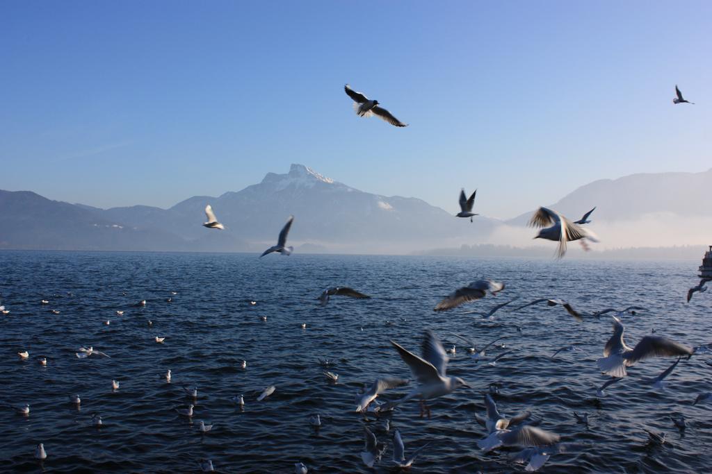 Pension Klimesch Mondsee Εξωτερικό φωτογραφία
